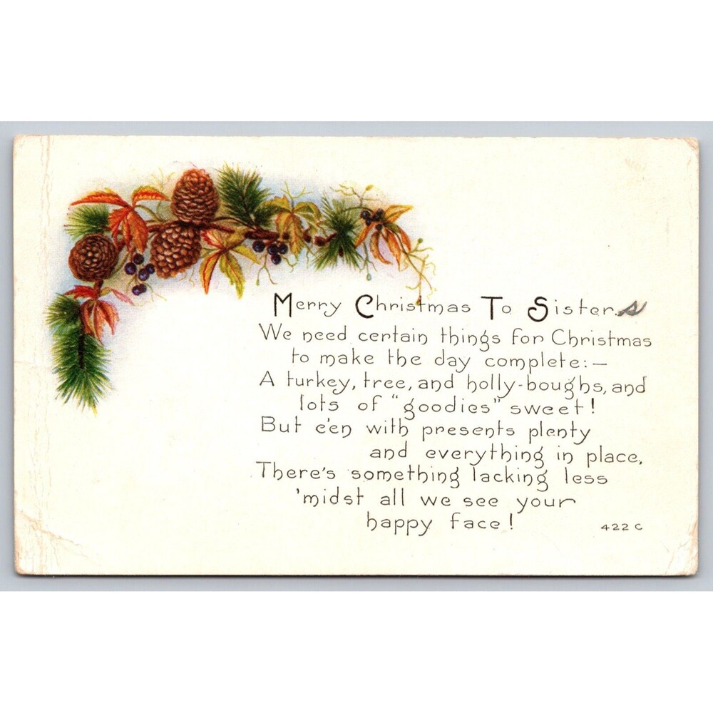 Postcard Merry Christmas To Sisters Pinecones Boughs Berries c1910s Unposted
